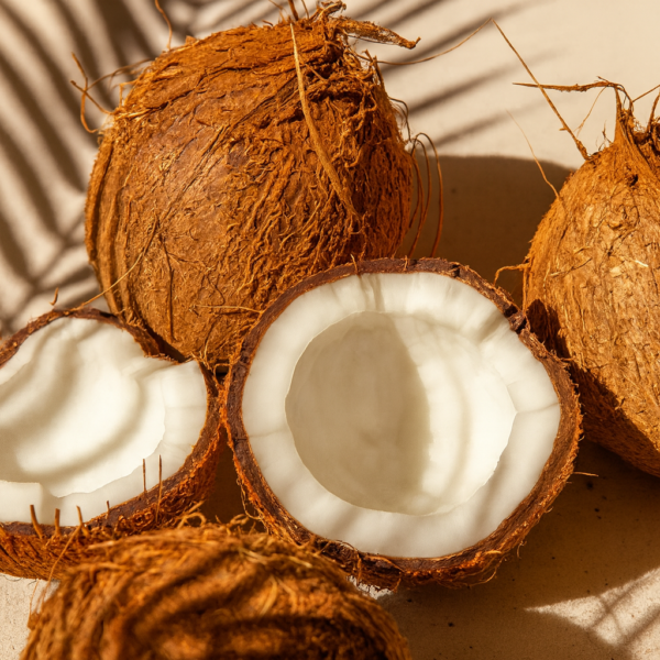 Pure Coconut Fragrance Oil